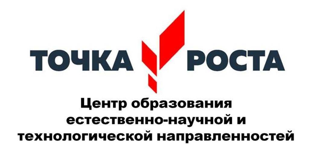 Логотип национального проекта образование точка роста